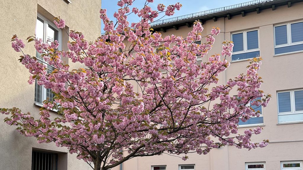 Zeichenfläche 1